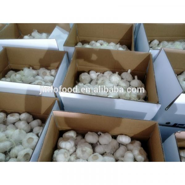 fresh 2017 year china new crop garlic pure  white  garlic   #3 image