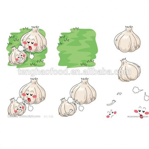 fresh 2017 year china new crop garlic garlic     #1 image