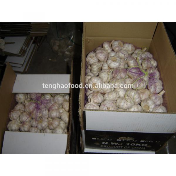 fresh 2017 year china new crop garlic garlic     #2 image