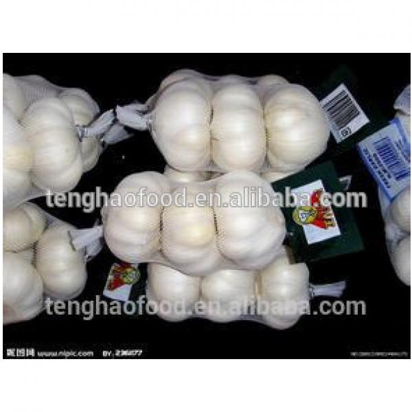 New 2017 year china new crop garlic crop  best  quality  fresh  garlic from China #2 image
