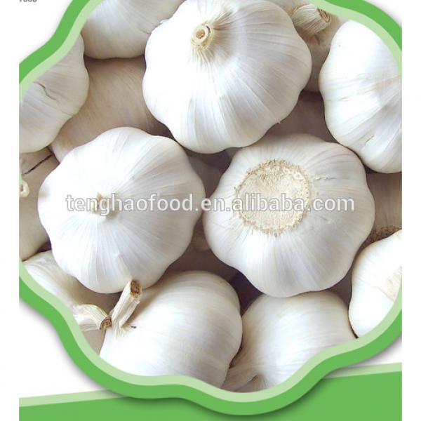 good 2017 year china new crop garlic quality  Chinese  fresh  garlic  for hot sales 4.5cm 5.0cm 5.5cm 6.0cm #3 image