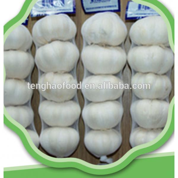 New 2017 year china new crop garlic crop  best  quality  fresh  garlic from China #3 image