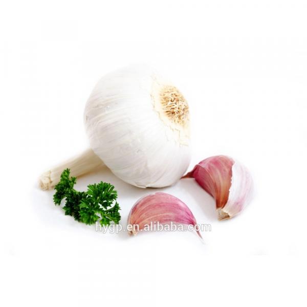 China fresh purple garlic 2017 #1 image