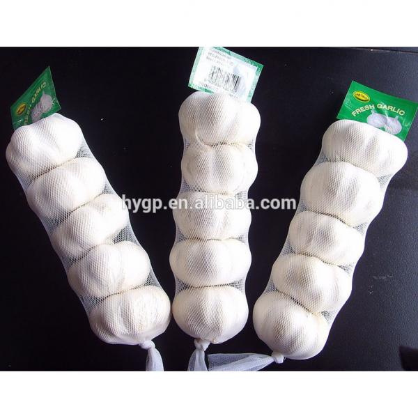 High Quality Professional Garlic In Small Pack #2 image