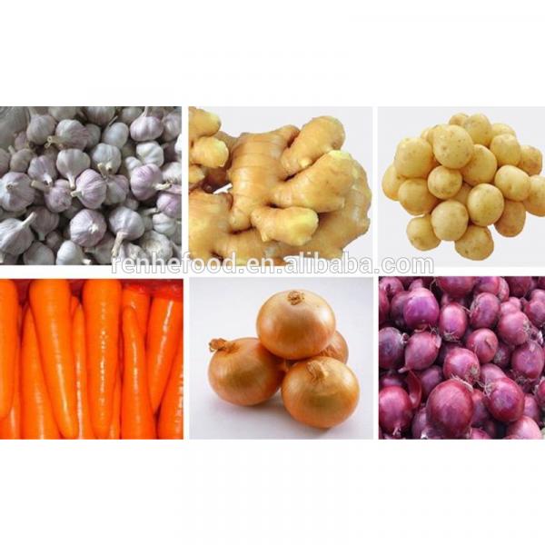 Ali/Alho/Ajo/Garlic fom China Supplier #4 image