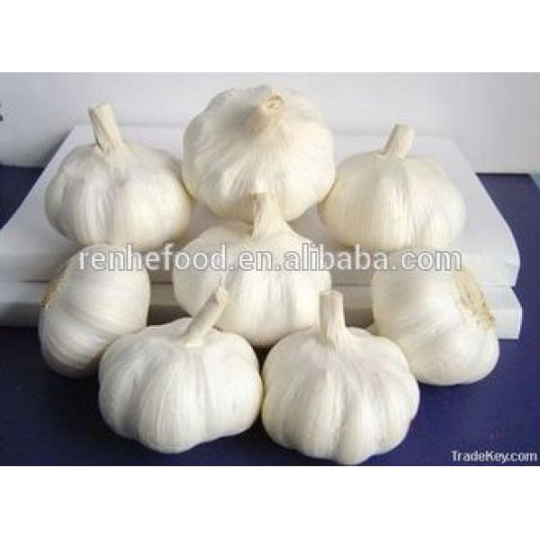 2017 New Crop Fresh White Garlic with Carton Packing #6 image