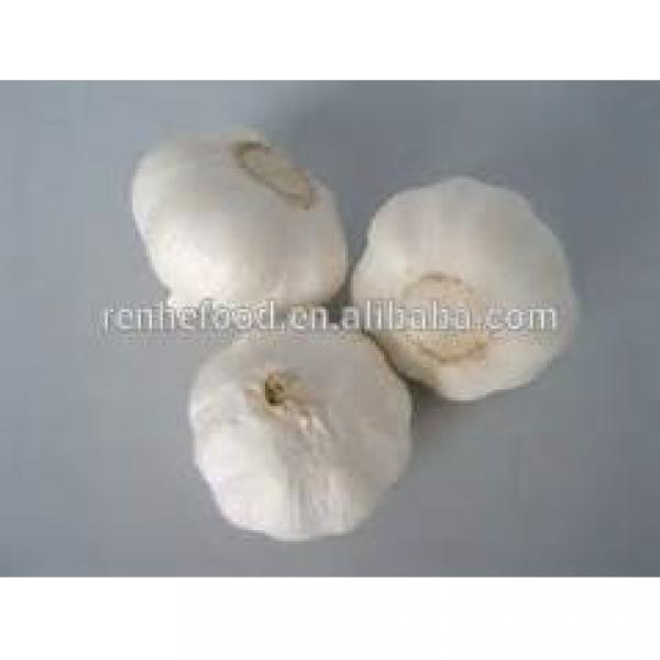 2017 New Corp Grade A Fresh White Chinese Garlic #3 image
