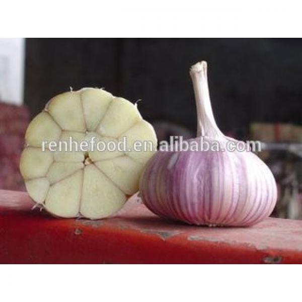2017 New Corp Grade A Fresh White Chinese Garlic #5 image