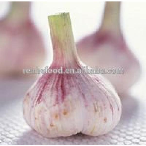 2017 New Crop Fresh Garlic (4.5cm,5cm,5.5cm.6cm up) #4 image