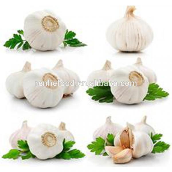 Chinese fresh garlic natural garlic 4.5cm-6.5cm #1 image