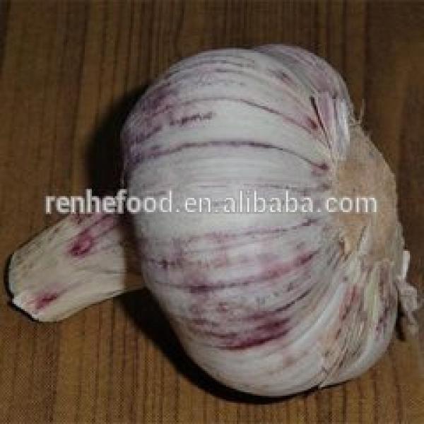 Chinese fresh garlic natural garlic 4.5cm-6.5cm #6 image