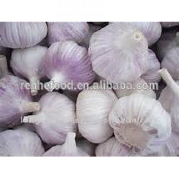 2017 New Crop Fresh White Garlic with Carton Packing #5 image