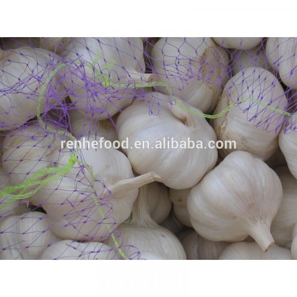 2017 New Crop Fresh Garlic (4.5cm,5cm,5.5cm.6cm up) #1 image
