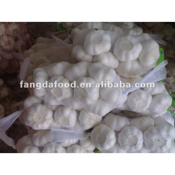 6.5 cm pure white garlic #1 image