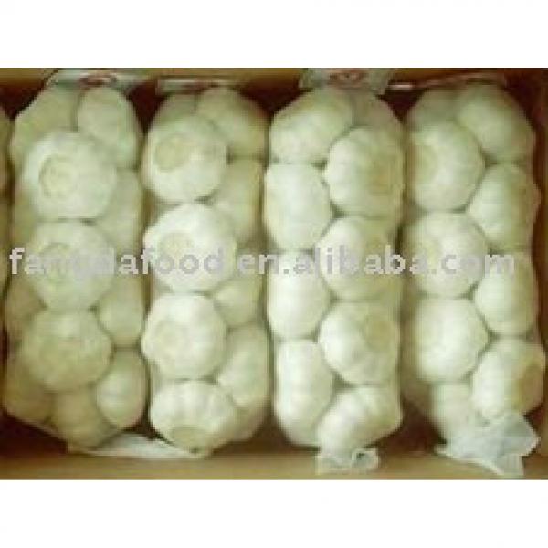 New Fresh Pure/Normal White China Garlic/Red Garlic #1 image