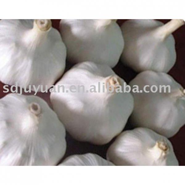 Fresh Pure White Garlic #1 image