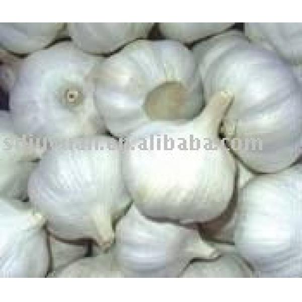 Fresh Pure White Garlic #1 image