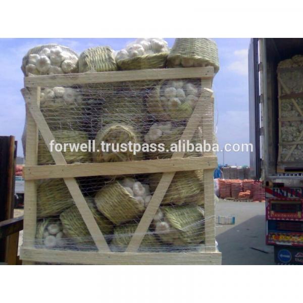 Best Price Natural Chinese Fresh Red / white Garlic #5 image