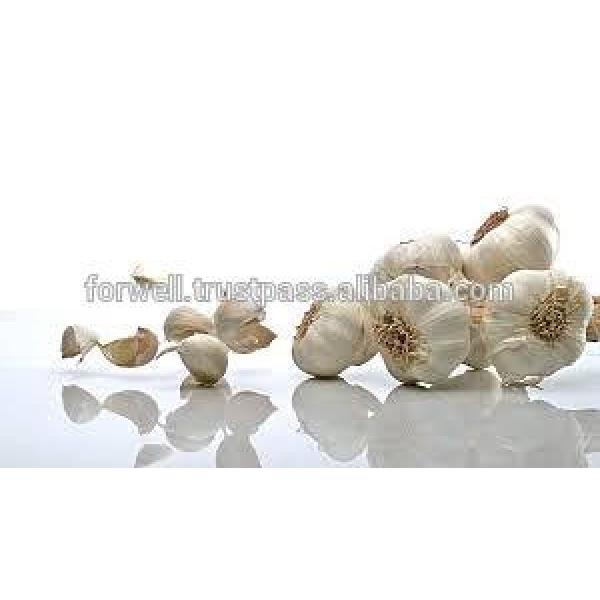 Participate output of egyptian dry garlic with good price/ red / yellow dry garlic #1 image