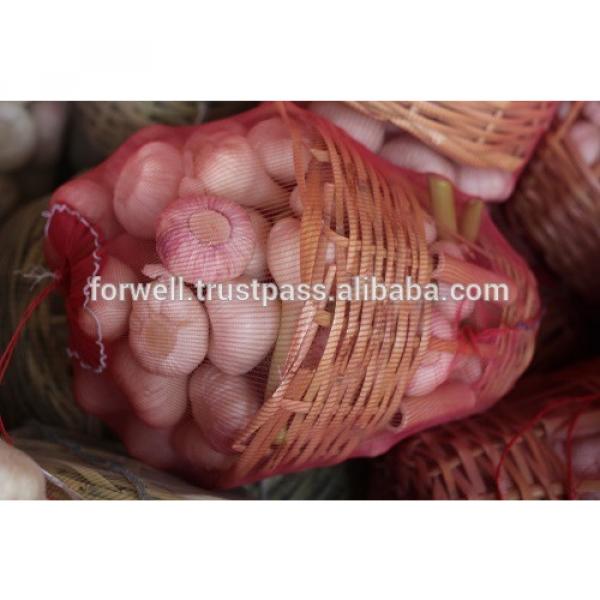 Garlic Type and Fresh Style fresh white garlic #2 image