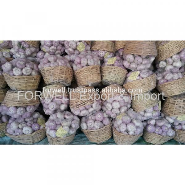 best price products new crop pure white fresh garlic #3 image