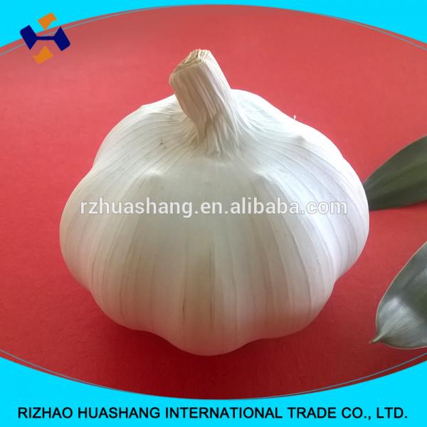 white garlic size4.5cm #4 image
