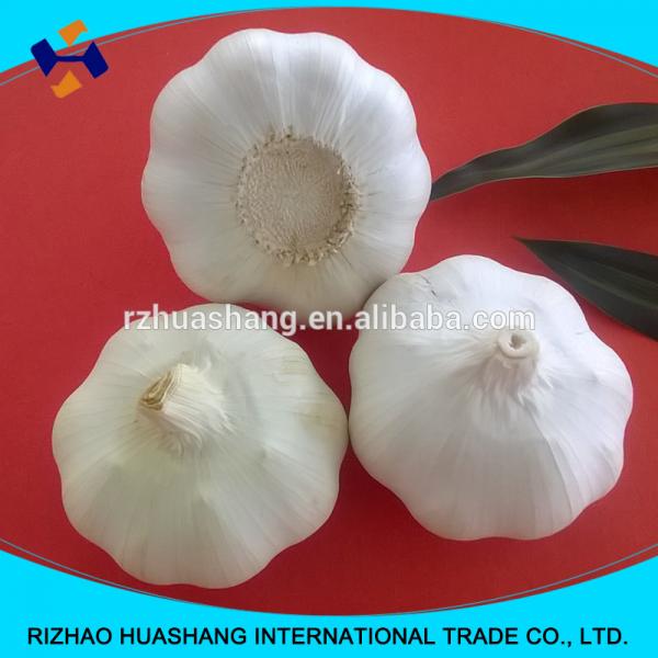 white garlic size4.5cm #6 image