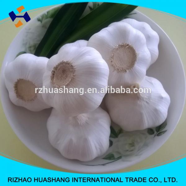 white garlic size4.5cm #2 image