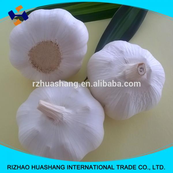 white garlic size5.5cm #1 image