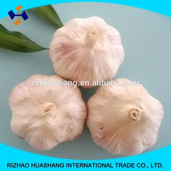 normal white fresh garlic size5.5cm #4 image