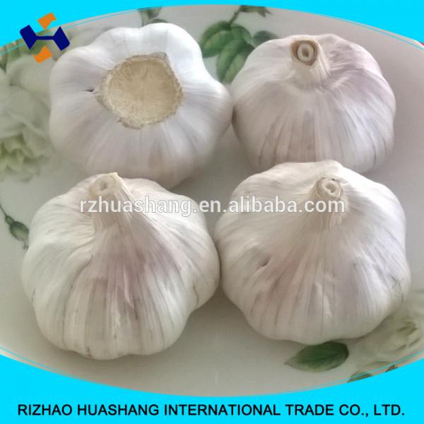 normal white fresh garlic size5.5cm #5 image