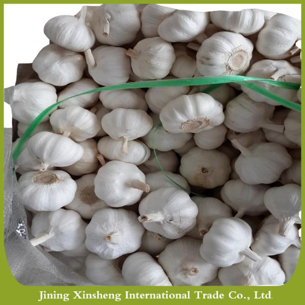 Fresh new crop white garlic #3 image