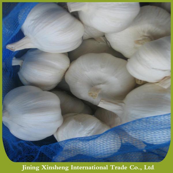 Fresh new crop white garlic #4 image