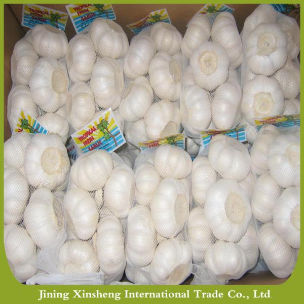 Iqf organic pure white garlic Manufacturers #4 image