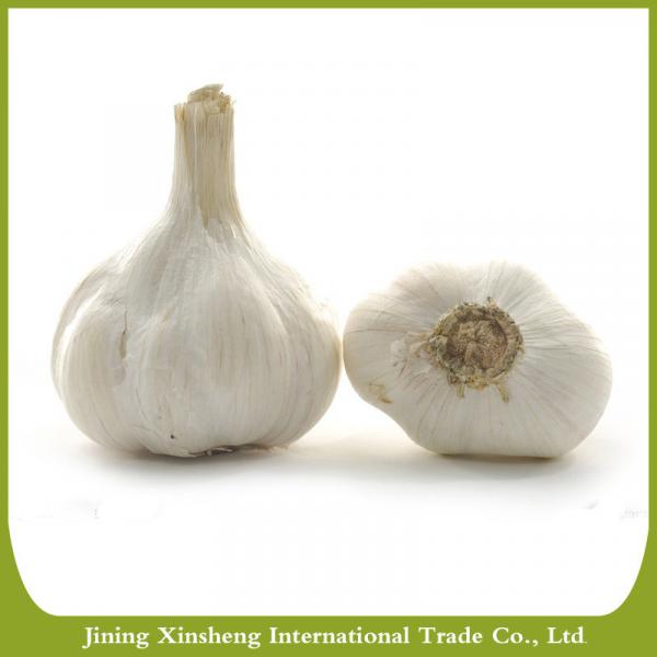 Iqf organic pure white garlic Manufacturers #1 image