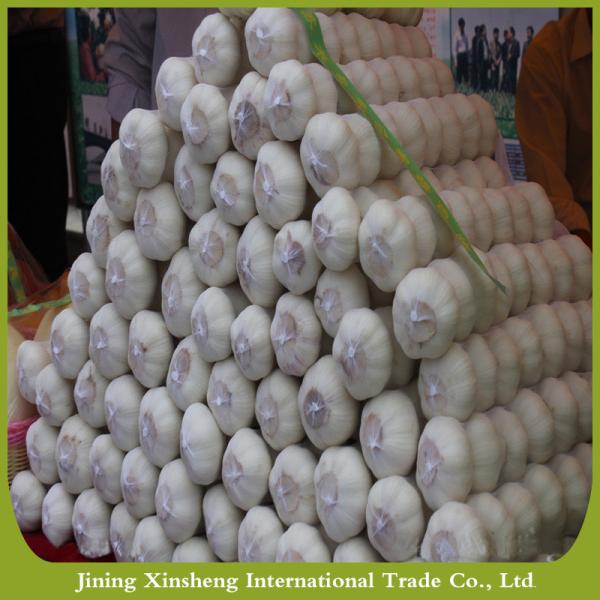 Iqf organic pure white garlic Manufacturers #2 image