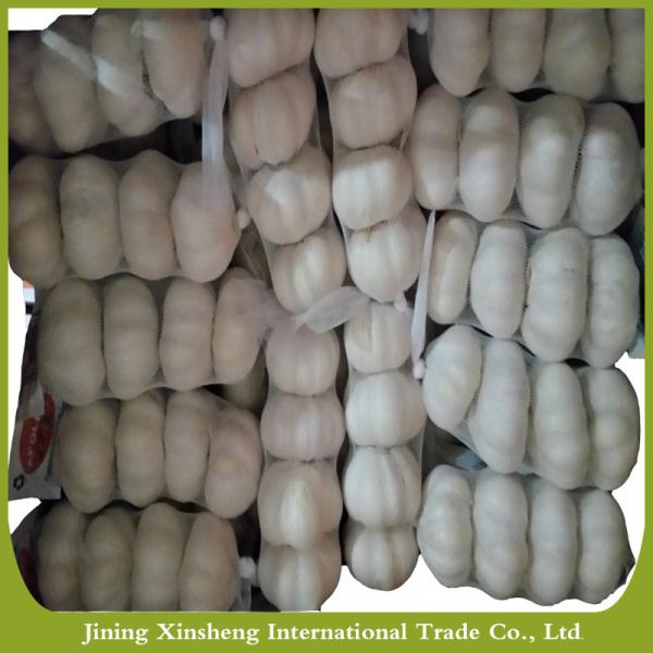 Iqf organic pure white garlic Manufacturers #3 image