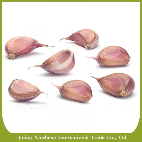 China fresh new crop red garlic #2 image