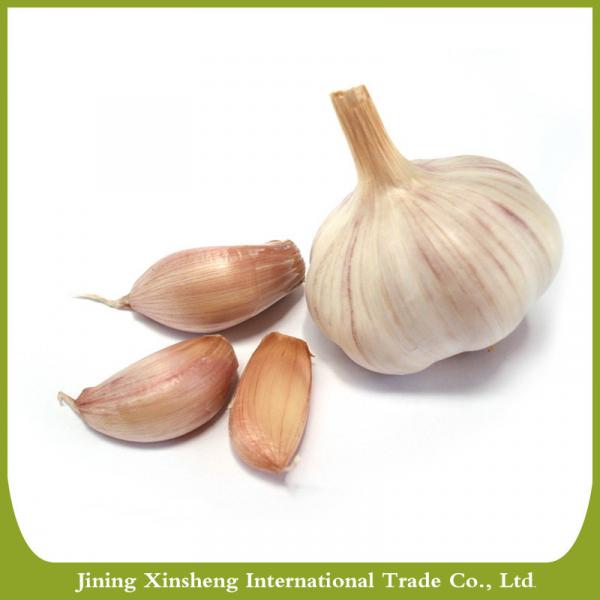 China fresh new crop red garlic #3 image