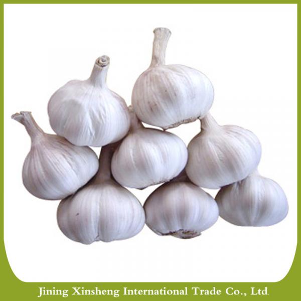New fresh garlic red Manufacturers #2 image
