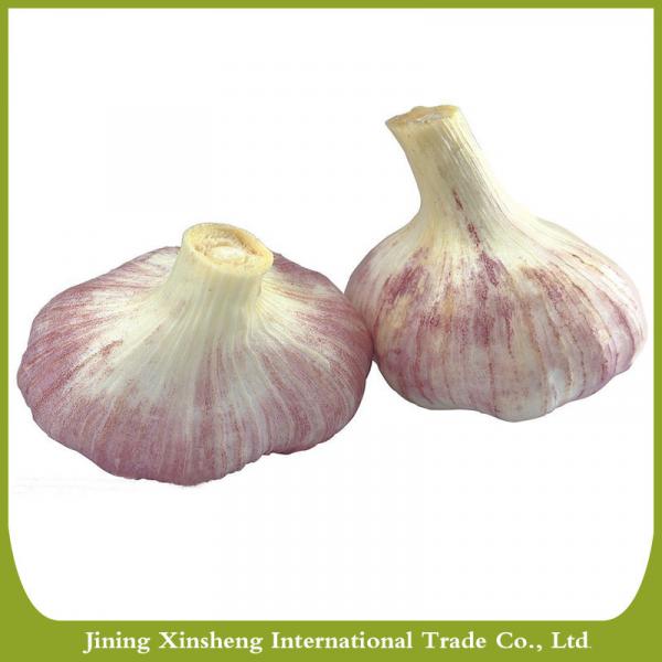 New fresh garlic red Manufacturers #3 image