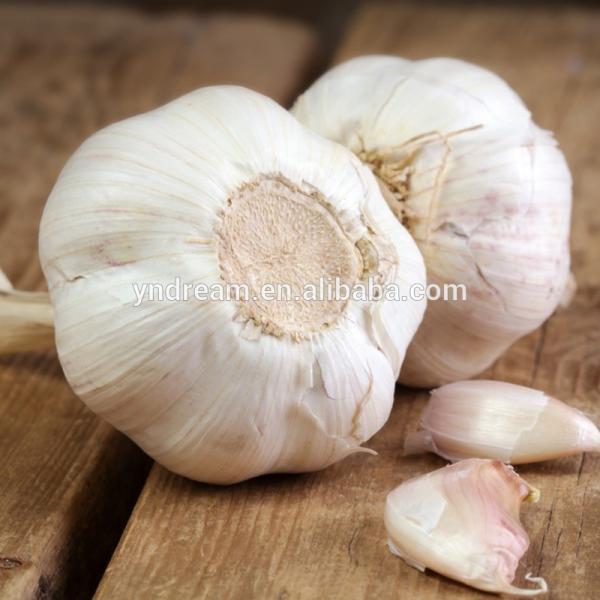 High quality fresh white garlic from China #1 image