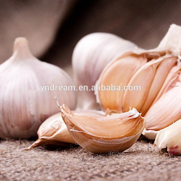 High quality fresh white garlic from China #2 image