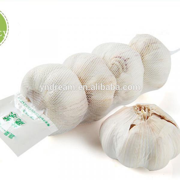 High quality fresh white garlic from China #3 image