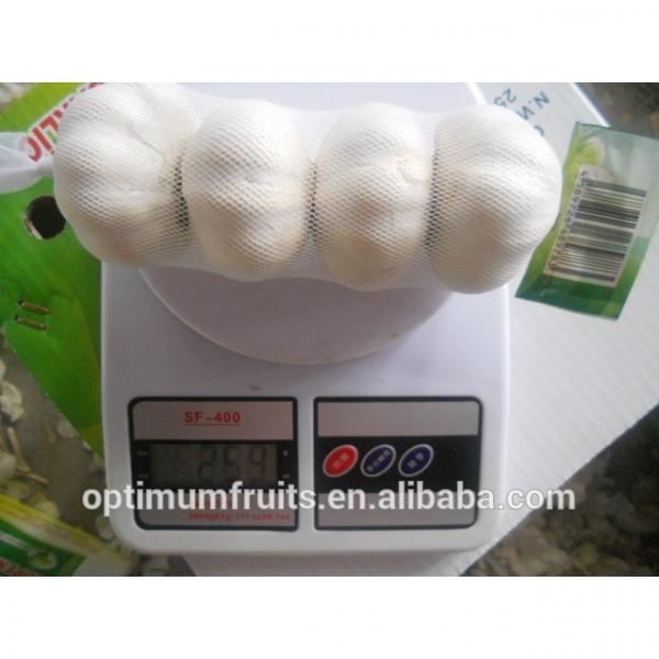 First grade pure white garlic for sale #1 image