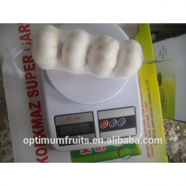 First grade pure white garlic for sale #2 image