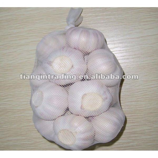 2017 china garlic price #1 image