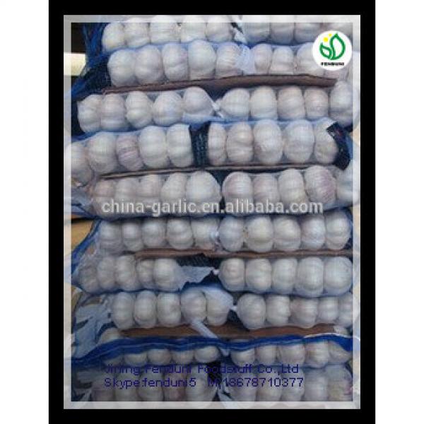 2017 China hot sale wild garlic for sale with good quality cheap price #1 image