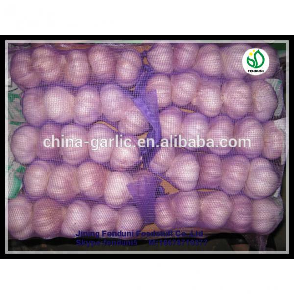 2017 China hot sale wild garlic for sale with good quality cheap price #4 image