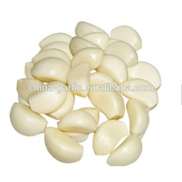 Chinese fresh peeled garlic, vacuum packed peeled garlic cloves #1 image